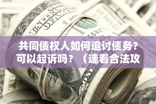 济南共同债权人如何追讨债务？可以起诉吗？（速看合法攻略）