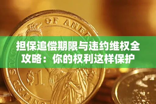 济南担保追偿期限与违约维权全攻略：你的权利这样保护